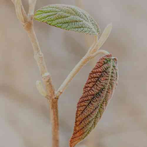 علی آردین منو تی خاطرات می یاد نشونه بی تو دووم